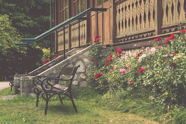 在与老牌劲 在与老牌劲